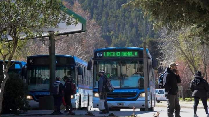 “San Martín de los Andes no puede sola con el transporte urbano”