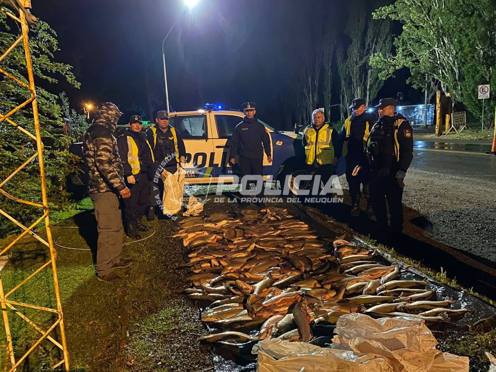 Secuestran 170 truchas en operativo vehicular en la Ruta Nacional N°40