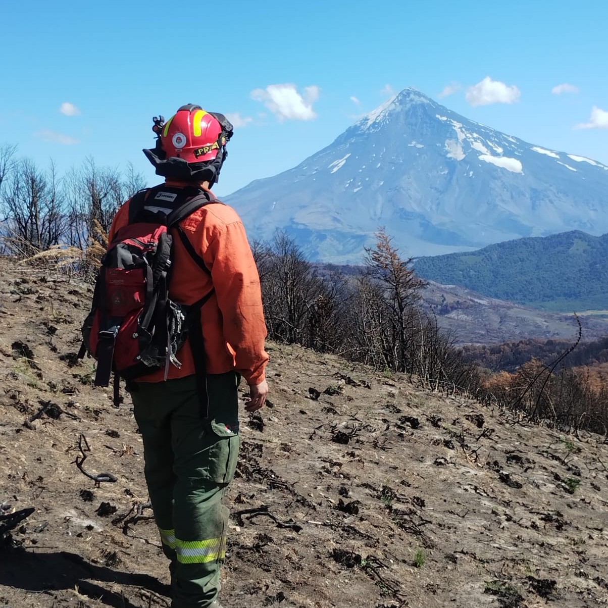 Trabajos de prevención de incendios en el Parque Nacional Lanin