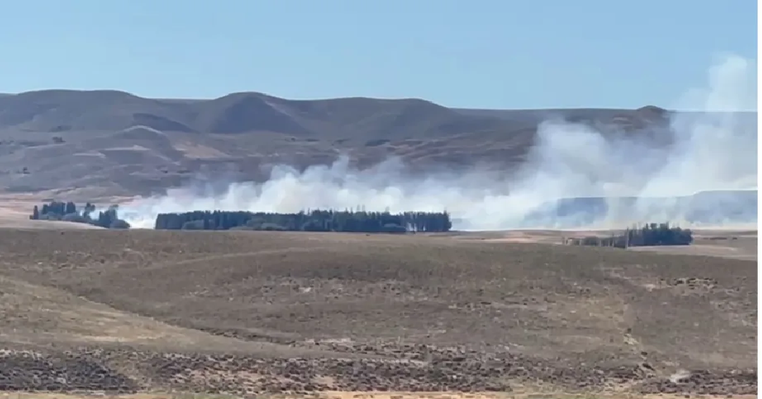 Incendio forestal fuera de control cerca de Junín de los Andes ya afectó más de 400 hectáreas