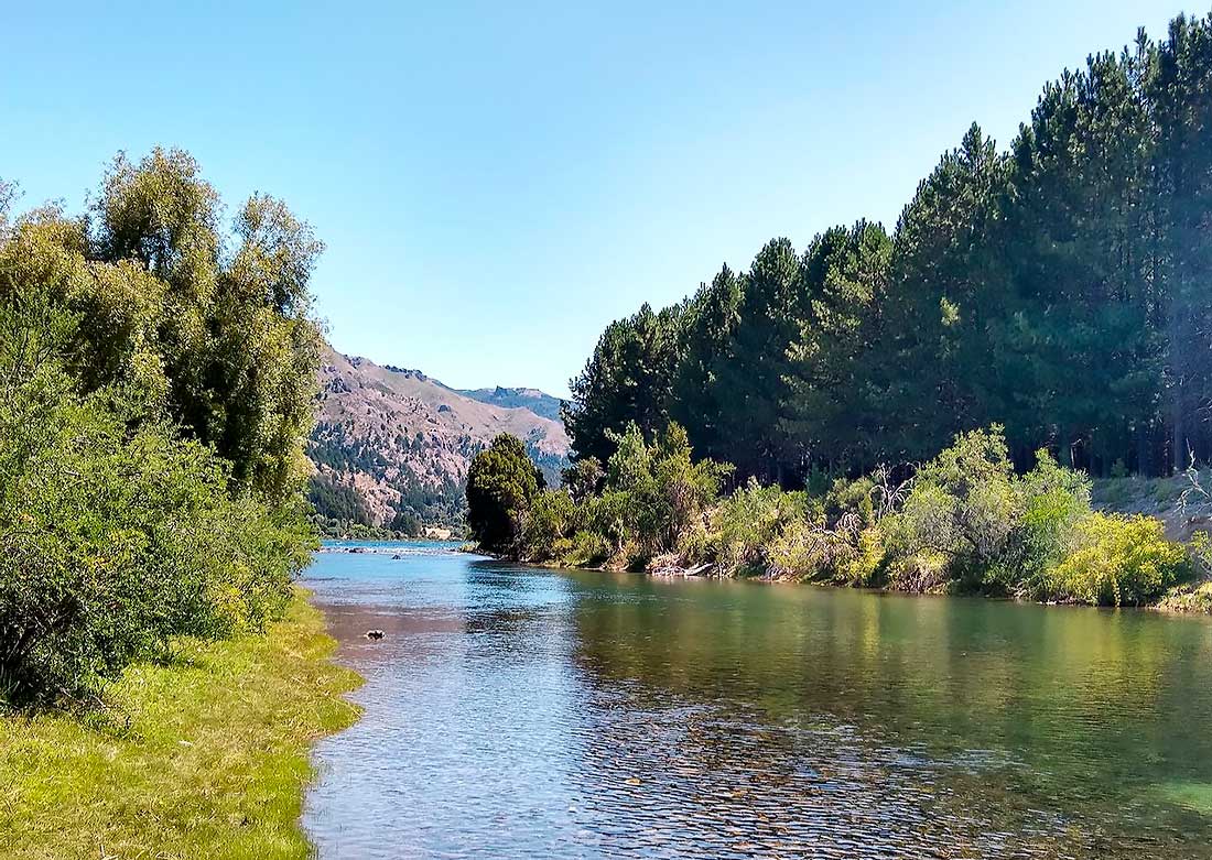 Realizaron un monitoreo ambiental en los ríos Hua Hum y Chimehuin.