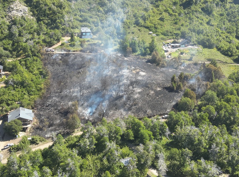 Logran detener incendio forestal en Lago Hermoso