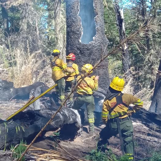 Extinguieron los dos incendios en el Parque Nacional Lanin