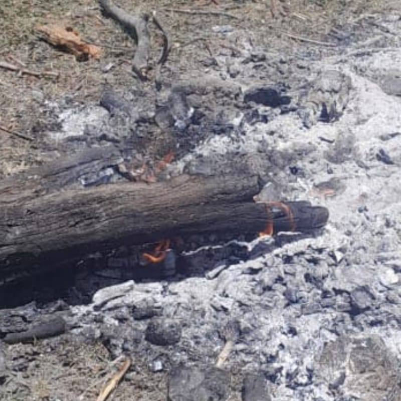 Infracciones en el Parque Nacional Lanín a pesar de la emergencia ígnea