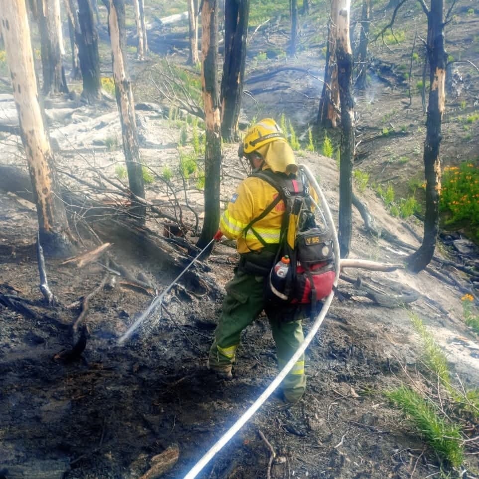 Ataque rápido y despliegue coordinado para extinguir incendio en Valle Magdalena