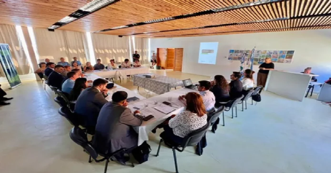 Primera reunión del Consejo Regional de Seguridad Ciudadana de la Región Lagos del Sur