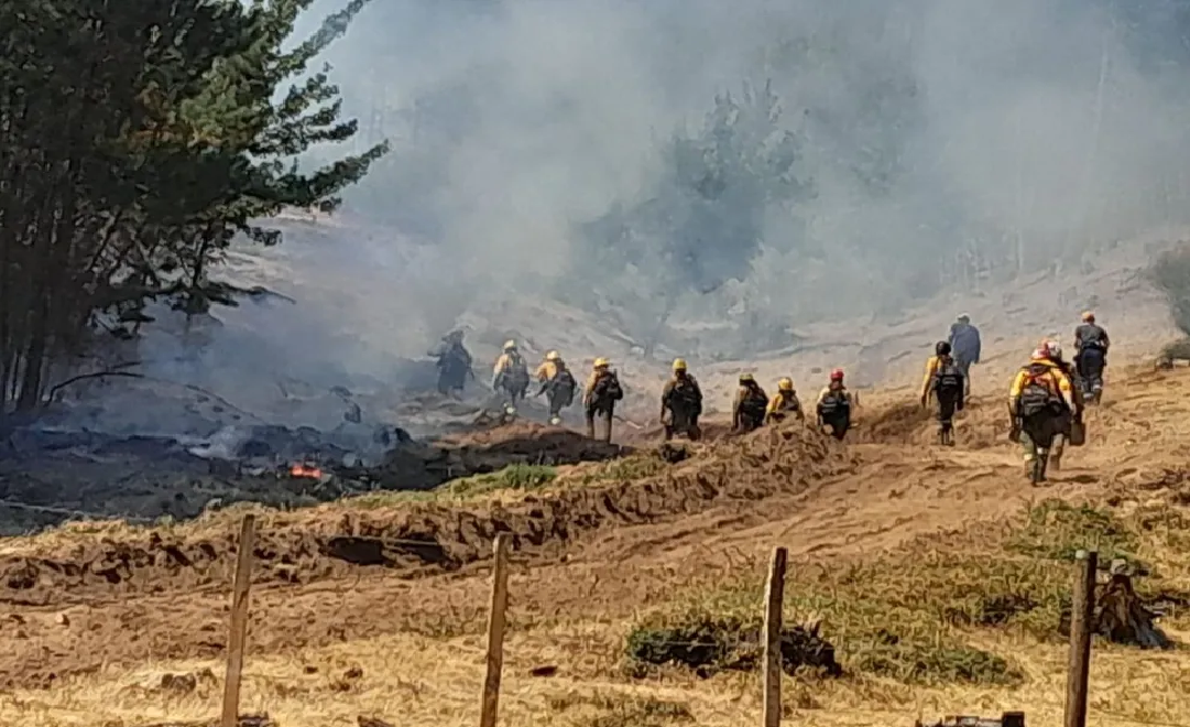 Brigadistas neuquinos colaboran en el combate de los incendios en Chubut