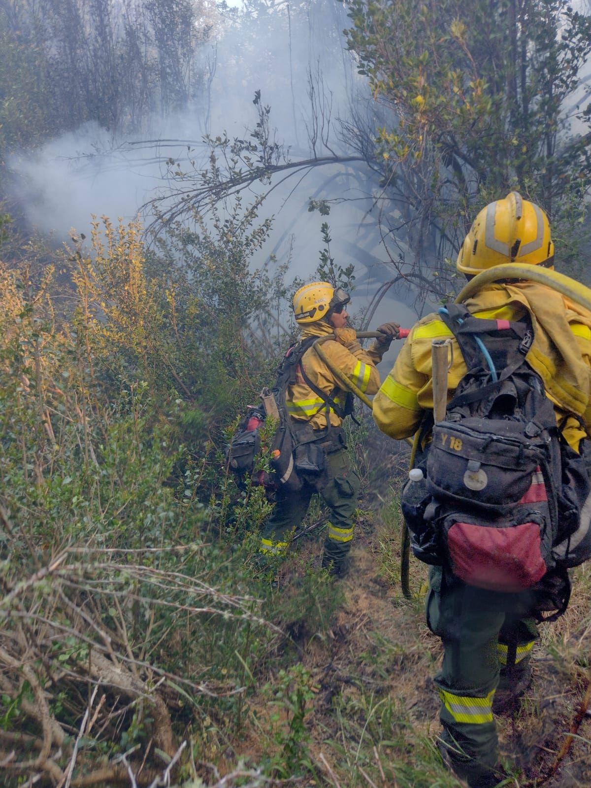 El Parque Nacional Lanín combatió 21 focos de incendios forestales en 97 dias