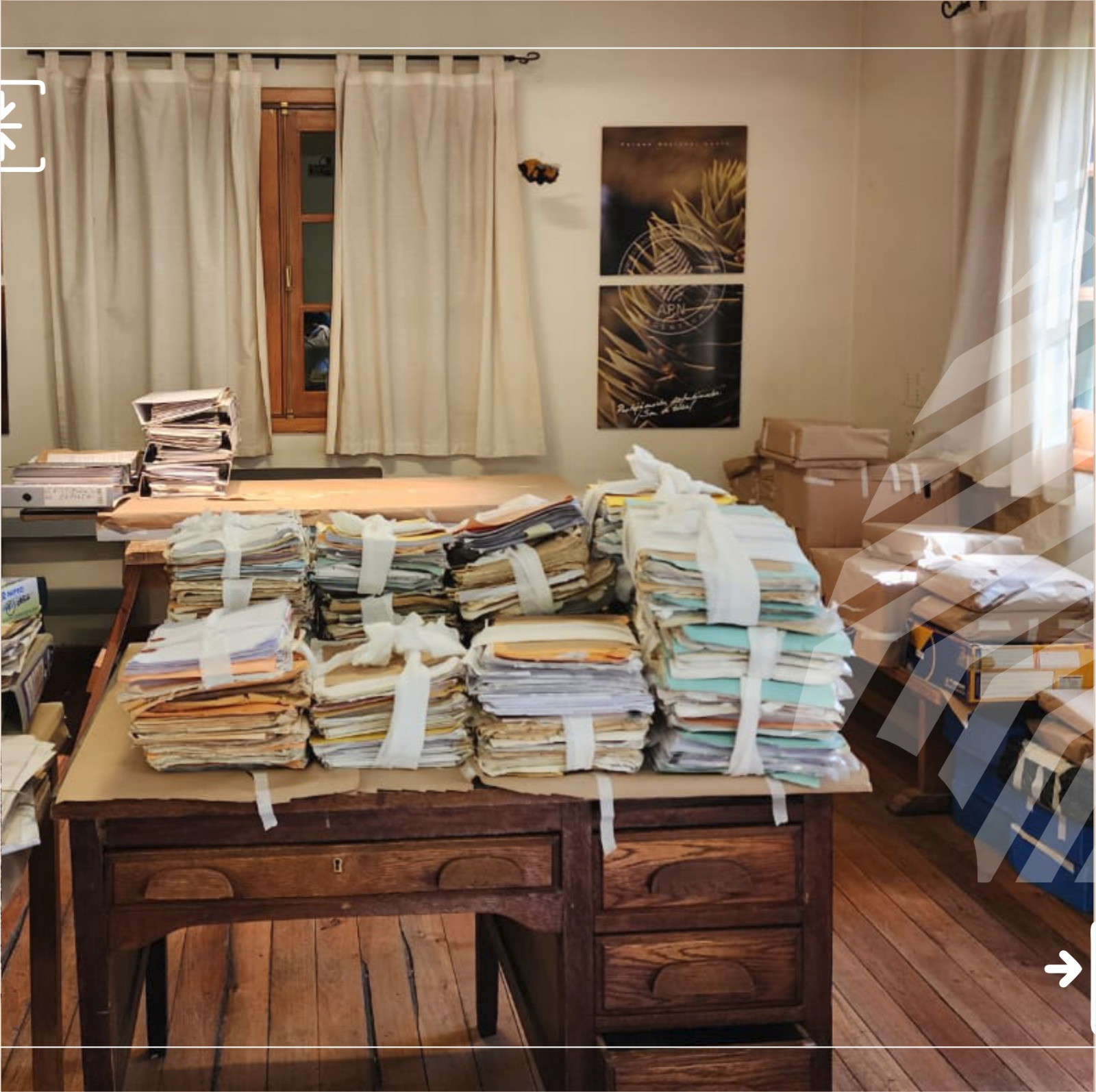 El Parque Nacional Lanin seleccionado para el Programa “Desempolvando Archivos”