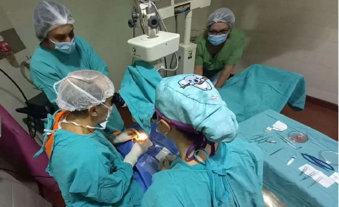 Neuquén lidera la procuración de órganos en Patagonia y supera la media nacional