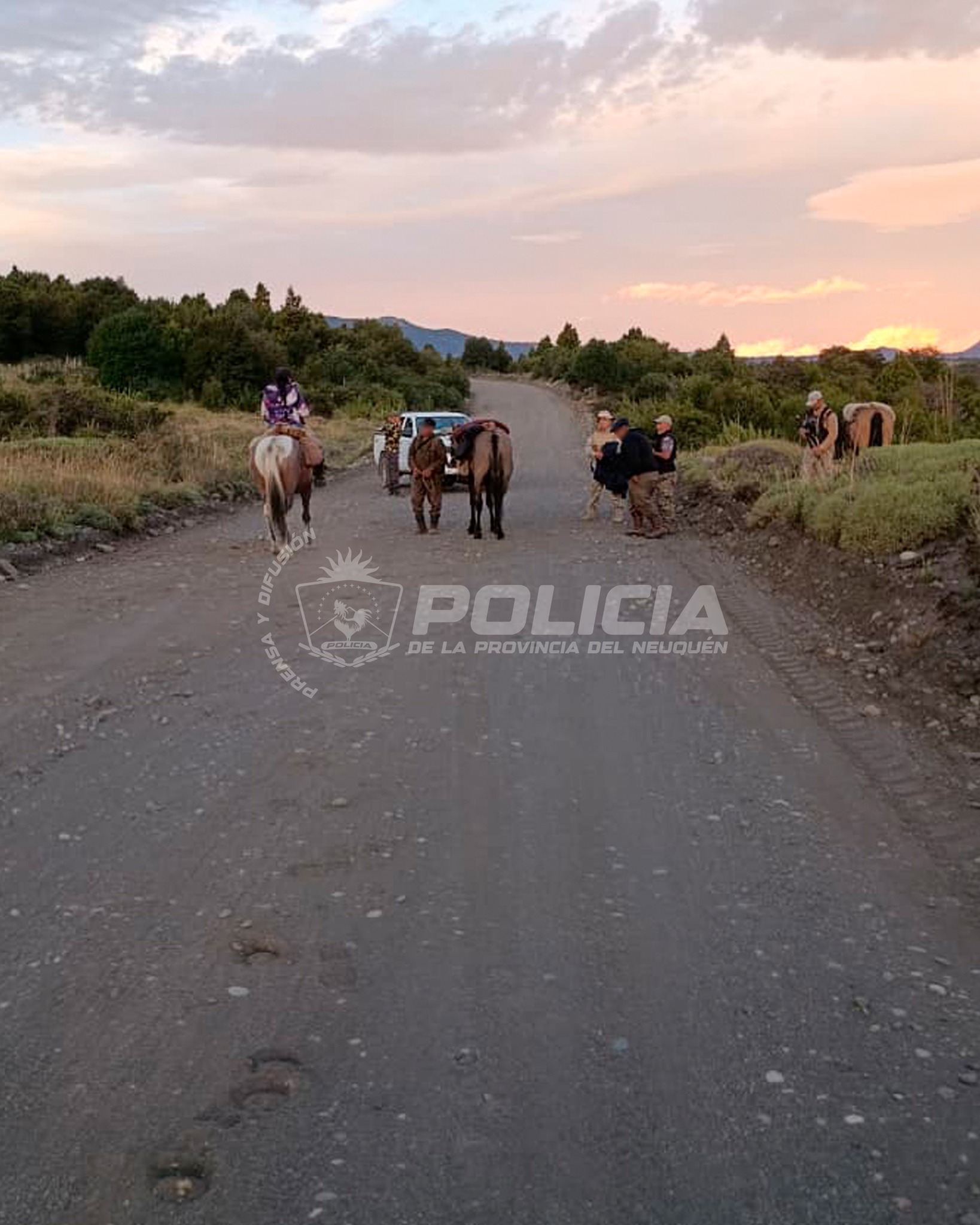 Operativo por presunta caza furtiva cerca de Huechulafquen