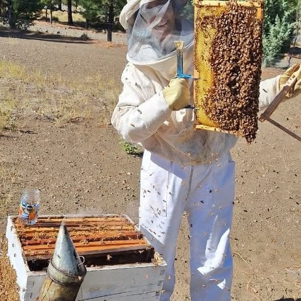 Apicultura: revisaciones sanitarias y monitoreso