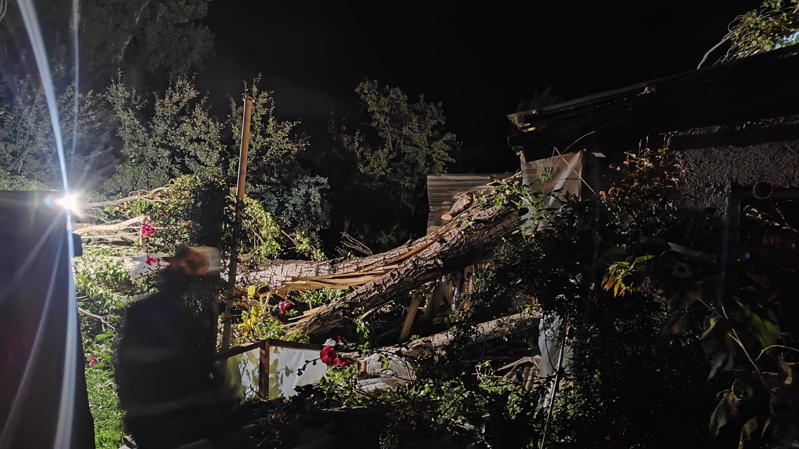 Caída de árbol sobre una vivienda en Villa Paur