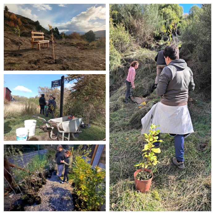 Jornada comunitaria de plantación de nativas en barrios de Cordones del Chapelco