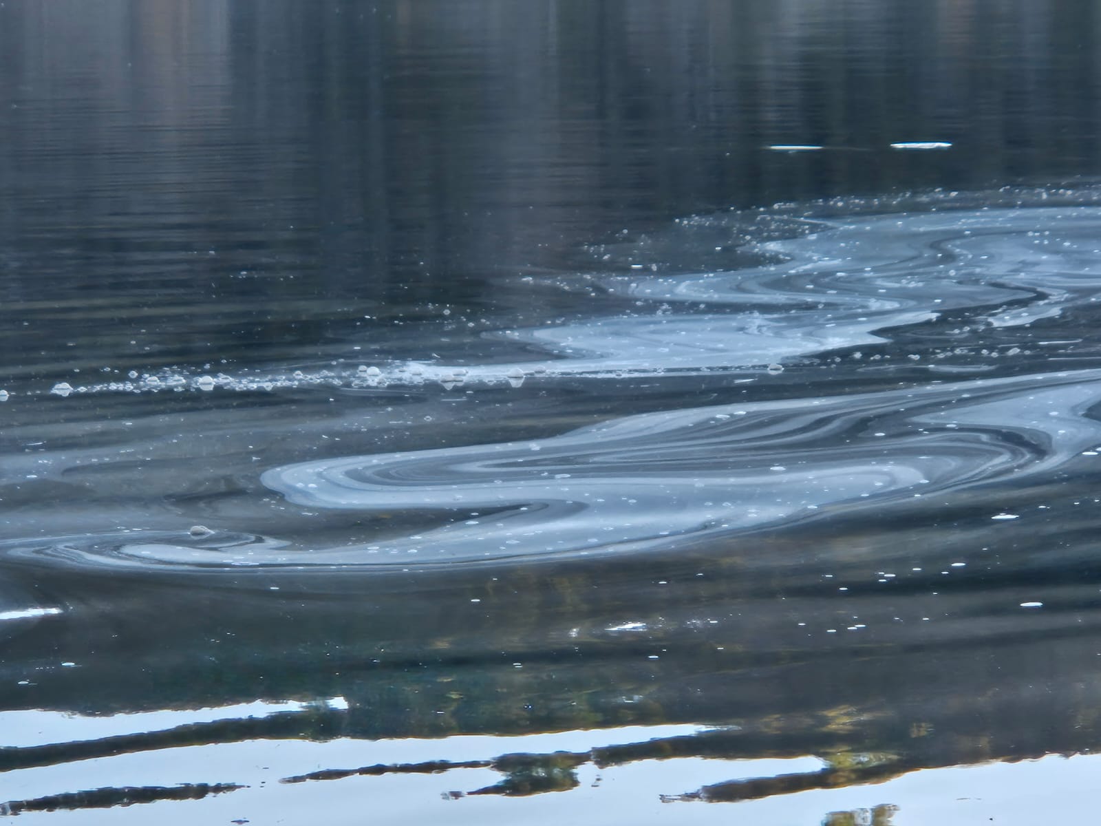 Cooperativa de Agua desmiente versiones sobre contaminación del Lago Lacar