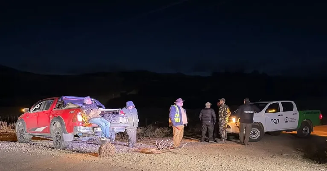 Detuvieron a tres hombres oriundos de Bs As por caza ilegal en la zona del Pilo Lil
