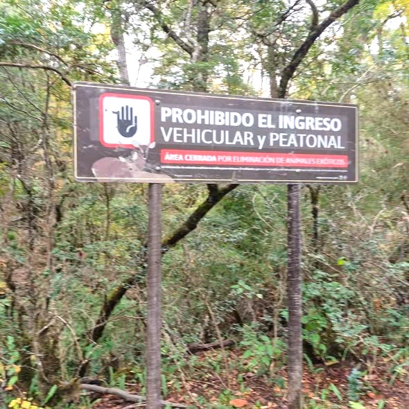 Ingreso indebido a área cerrada: se labró infracción en Queñi