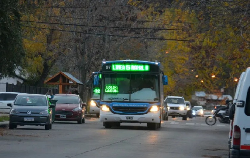Cuatro frecuencias diarias del servicio de colectivos al Cerro Chapelco