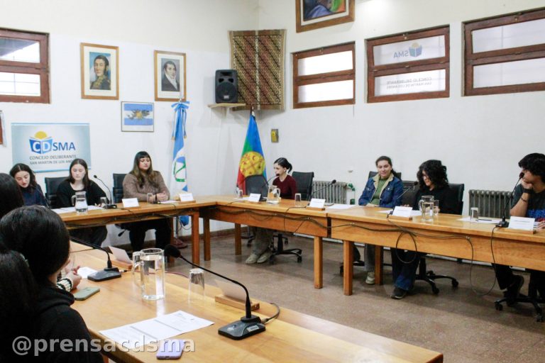 El Concejo Deliberante Estudiantil aprobó siete proyectos en su 2ª Sesión Ordinaria