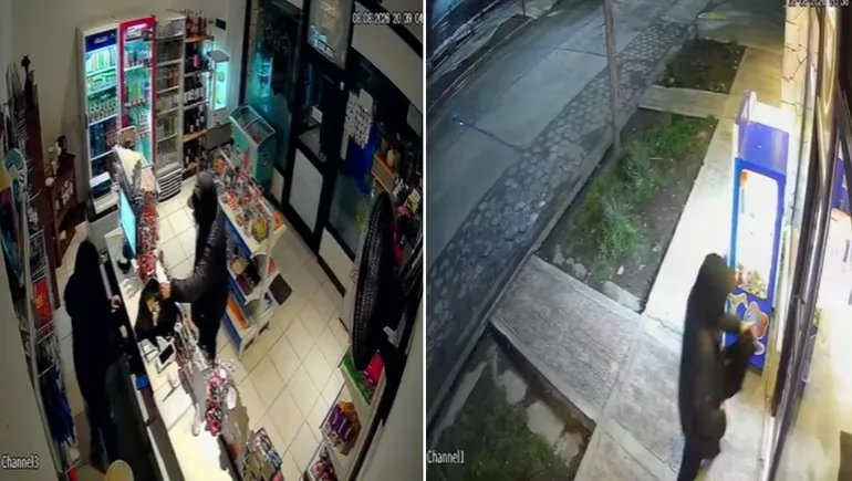 Un violento robo tuvo lugar en un kiosco de Junín de los Andes.