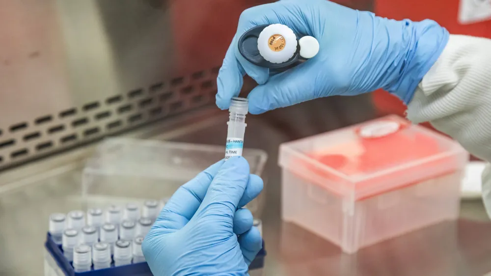 Hantavirus: Neuquén estudiará la variante andes sur para reforzar la vigilancia epidemiológica