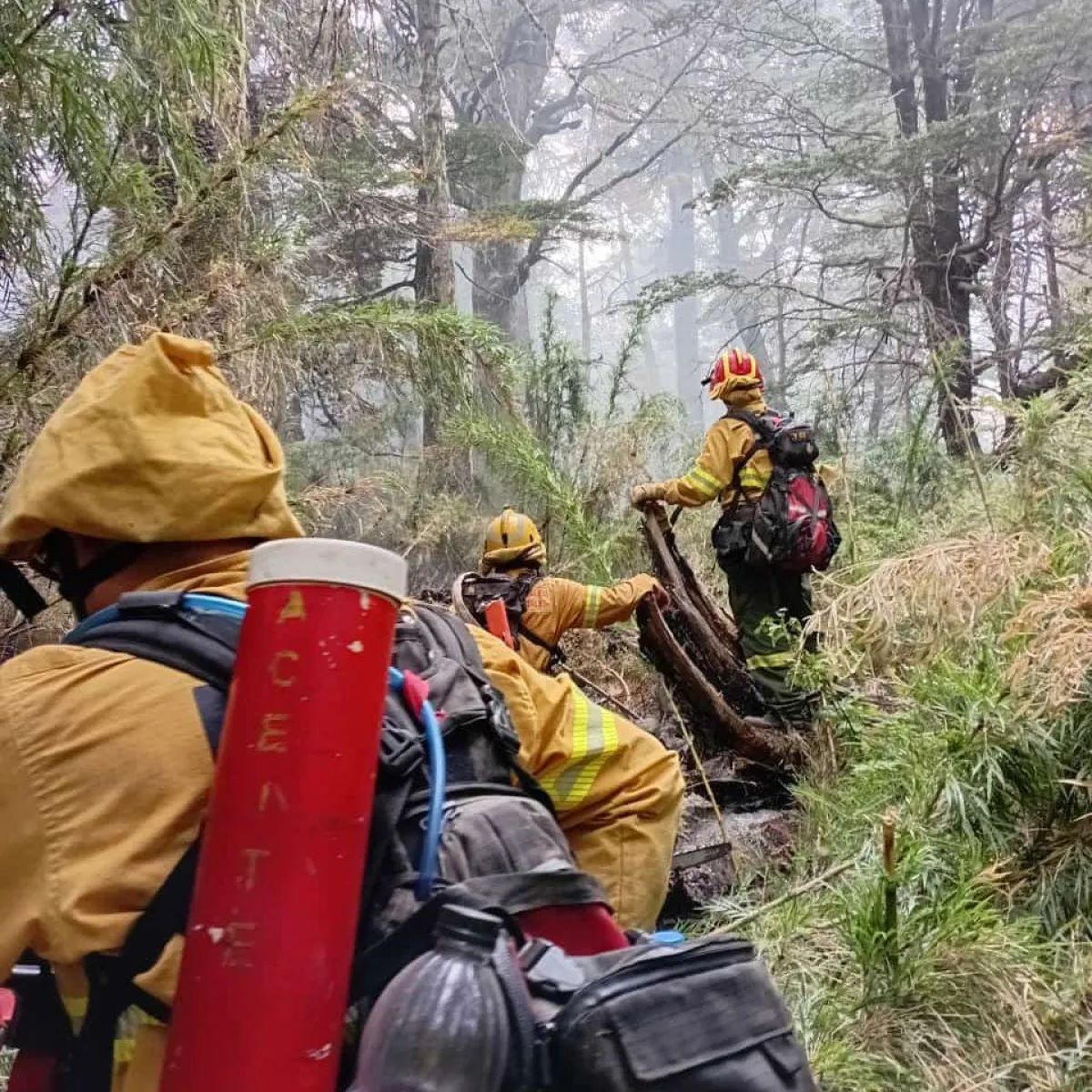 Junin de los Andes será sede del Congreso Internacional “Patagonia, más allá del fuego”