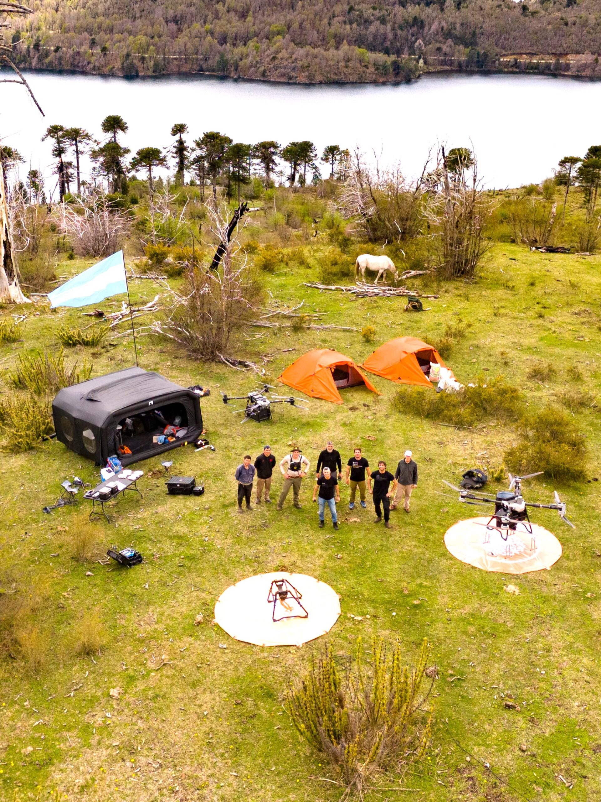 Nueva etapa en la restauración biocultural del pewen